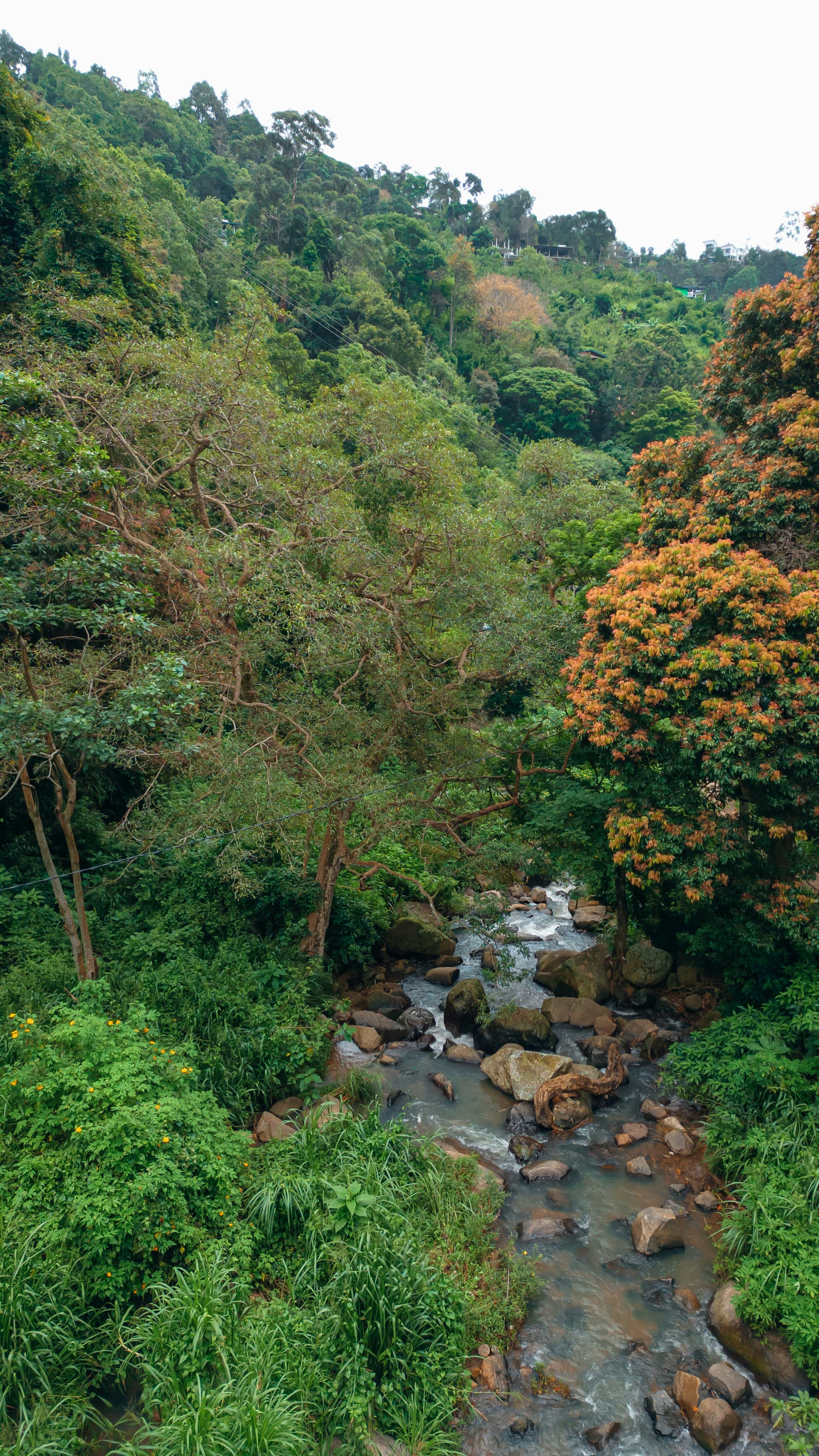 Sinharaja Forest Reserve